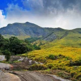 Eravikulam National Park Idukki 